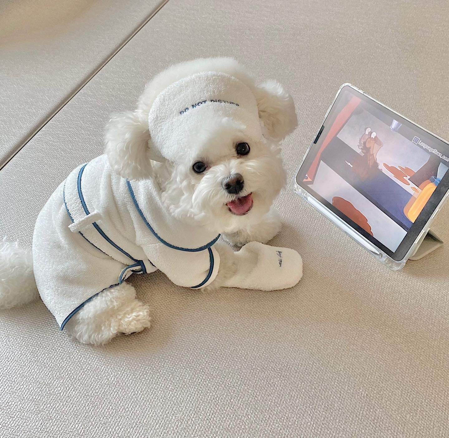 Luxury Pet Bath Towel Bathrobe For Photo Props